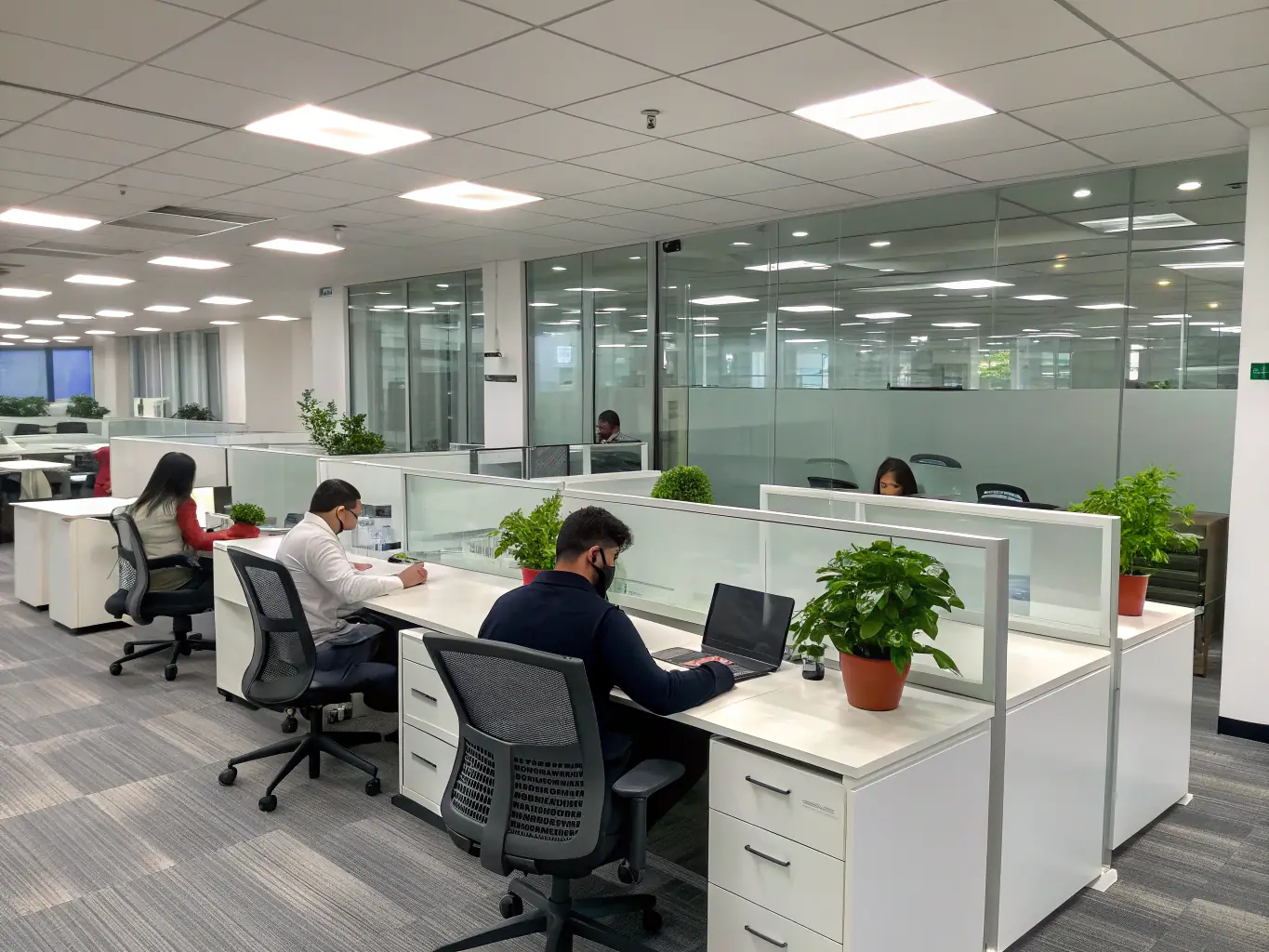 An office space with employees working comfortably, highlighting a safe and healthy work environment free from pests, thanks to professional pest control.